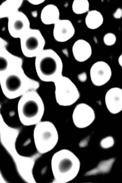 Textura Monocromática Con Fondo Blanco Negro — Foto de Stock