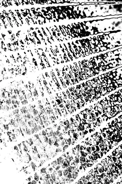 Résumé Fond Grunge Texture Monochrome Fond Texturé Noir Blanc — Photo