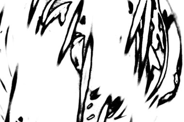 Soyut grunge arkaplanı. Monokrom dokusu. Siyah beyaz arkaplan