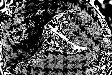 Siyah ve beyaz arkaplanlı tek renkli doku.