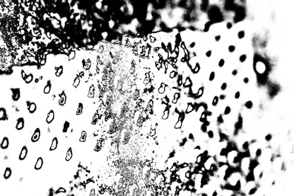 Fondo Grunge Abstracto Textura Monocromática Fondo Blanco Negro —  Fotos de Stock