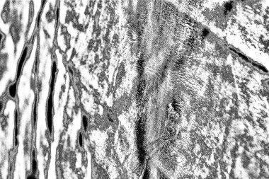 Soyut grunge arkaplanı. Monokrom dokusu. Resim siyah ve beyaz tonları içerir.