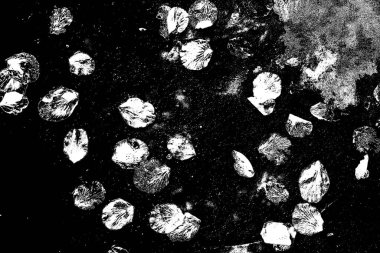 Soyut grunge arkaplanı. Monokrom dokusu. Siyah beyaz arkaplan