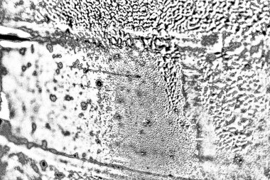 Soyut grunge arkaplanı. Monokrom dokusu. Resim siyah ve beyaz tonları içerir.