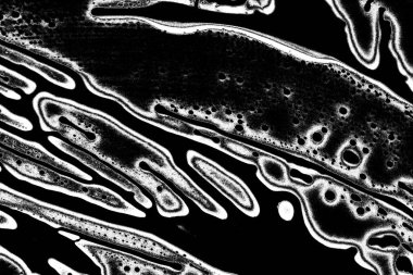 grungy soyut arkaplan, siyah beyaz tonlar, kopyalama alanı