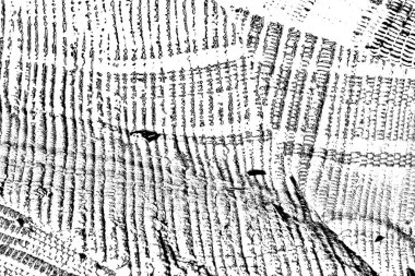 Soyut grunge arkaplanı. Monokrom dokusu. Resim siyah ve beyaz tonları içerir.