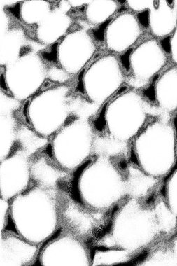 Soyut grunge arkaplanı. Monokrom dokusu. Resim siyah ve beyaz tonları içerir.