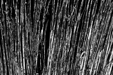 Soyut grunge arkaplanı. Monokrom dokusu. Siyah beyaz arkaplan