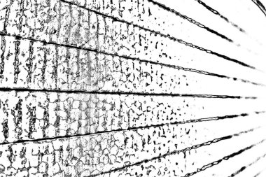 Soyut grunge arkaplanı. Monokrom dokusu. Resim siyah ve beyaz tonları içerir.