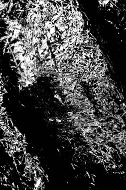 Soyut grunge arkaplanı. Monokrom dokusu. Siyah beyaz arkaplan