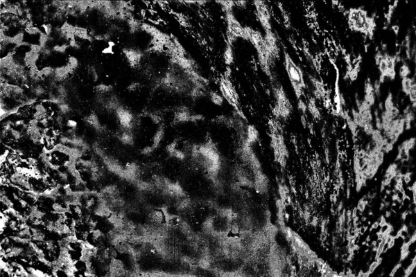 Abstract Fundal Grunge Textura Monocromă Fundal Alb Negru — Fotografie, imagine de stoc