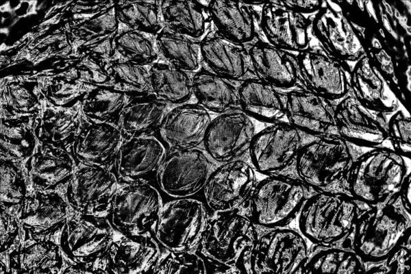 Fondo Grunge Abstracto Textura Monocromática Fondo Blanco Negro — Foto de Stock