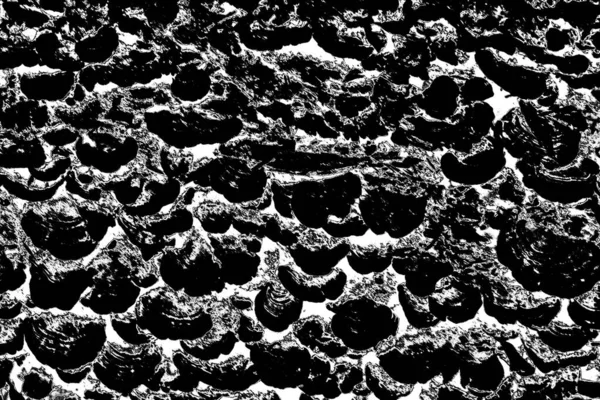 Astratto Sfondo Grunge Bianco Nero Texture Monocromatica — Foto Stock