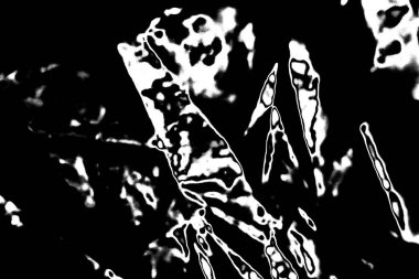 Monokrom dokusu. Siyah beyaz arka plan. Soyut grunge arkaplanı.