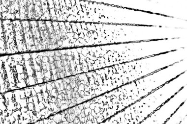 Soyut grunge arkaplanı. Monokrom dokusu. Resim siyah ve beyaz tonları içerir.