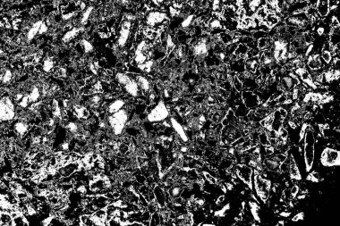 Soyut grunge arkaplanı. Monokrom dokusu. Siyah beyaz arkaplan