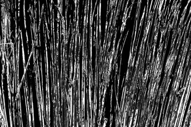 Soyut grunge arkaplanı. Monokrom dokusu. Siyah beyaz arkaplan