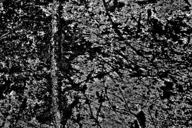 Soyut grunge arkaplanı. Monokrom dokusu. Siyah beyaz arkaplan