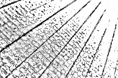 Soyut grunge arkaplanı. Monokrom dokusu. Resim siyah ve beyaz tonları içerir.