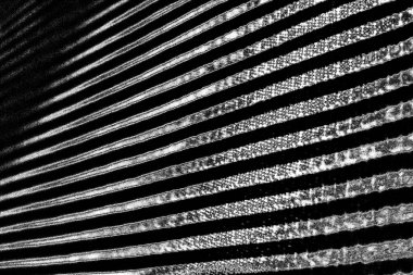 Soyut grunge arkaplanı. Monokrom dokusu. Siyah beyaz arkaplan