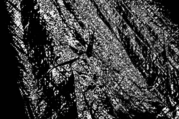 Μονόχρωμη Υφή Ασπρόμαυρο Φόντο Αφηρημένο Φόντο Grunge — Φωτογραφία Αρχείου