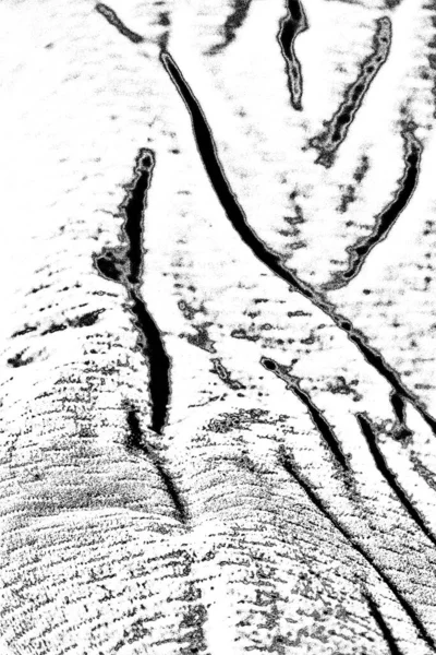 Fondo Grunge Abstracto Textura Monocromática Imagen Que Incluye Efecto Los —  Fotos de Stock