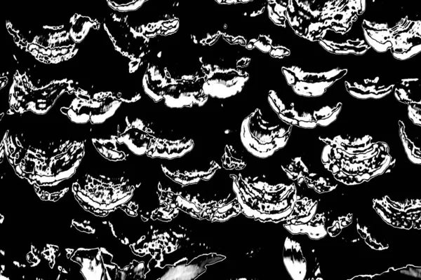 Fondo Grunge Abstracto Textura Monocromática Fondo Blanco Negro —  Fotos de Stock