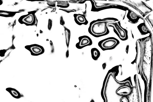 Soyut grunge arkaplanı. Monokrom dokusu. Resim siyah ve beyaz tonları içerir.