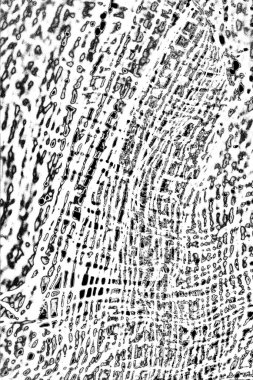 Siyah ve beyaz arkaplanlı tek renkli doku.