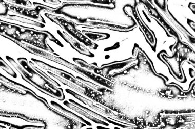 Soyut grunge arkaplanı. Monokrom dokusu. Resim siyah ve beyaz tonları içerir.