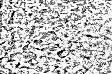 Soyut grunge arkaplanı. Monokrom dokusu. Siyah beyaz arkaplan