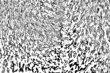 Siyah ve beyaz arkaplanlı tek renkli doku.