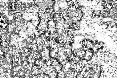 Soyut grunge arkaplanı. Monokrom dokusu. Resim siyah ve beyaz tonları içerir.
