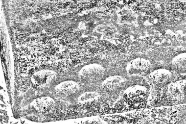 Siyah ve beyaz arkaplanlı tek renkli doku.