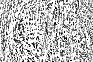 Siyah ve beyaz arkaplanlı tek renkli doku.