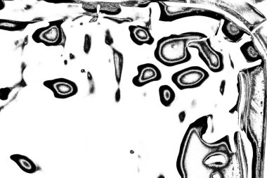 Soyut grunge arkaplanı. Monokrom dokusu. Resim siyah ve beyaz tonları içerir.