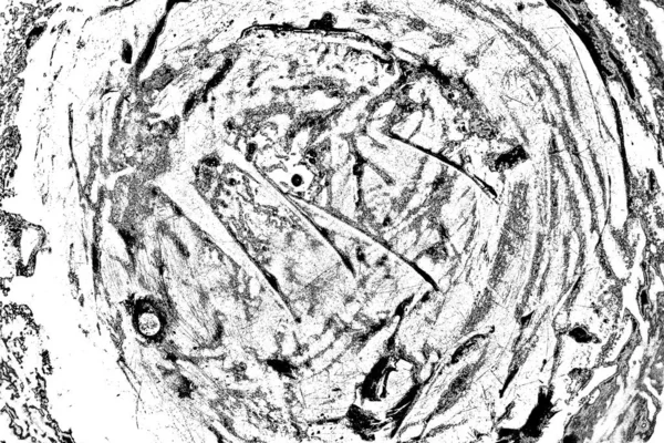 Абстрактный Гранж Фон Монохромная Текстура Черно Белый Фон — стоковое фото