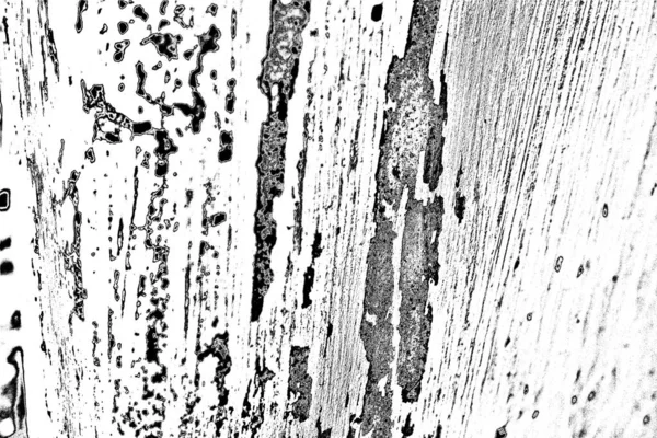 Monochrome Texture Black White Background — Stock Photo, Image