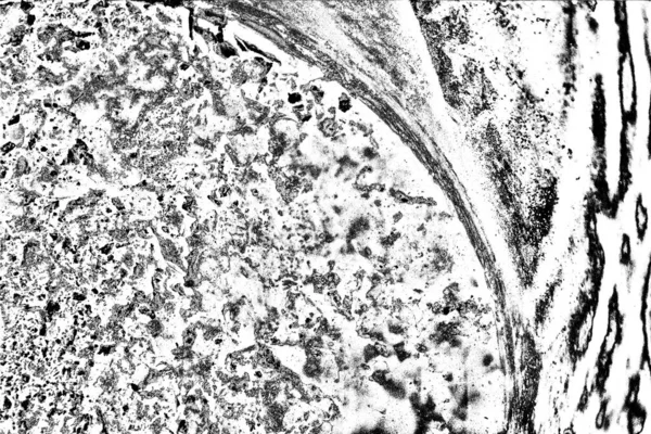 Struttura Monocromatica Con Sfondo Bianco Nero — Foto Stock