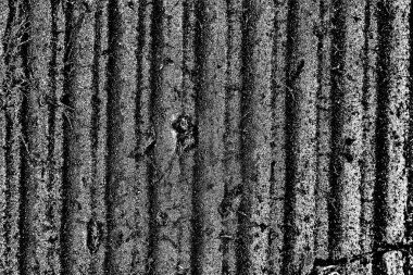 Monokrom dokusu. Siyah beyaz arka plan. Soyut grunge arkaplanı.