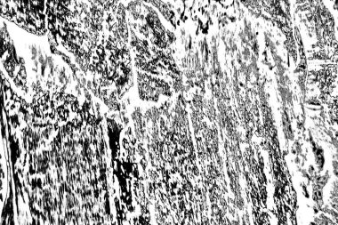 Monokrom dokusu. Siyah beyaz arka plan. Soyut grunge arkaplanı.