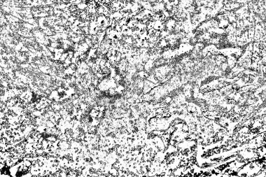 Soyut grunge arkaplanı. Monokrom dokusu. Siyah beyaz arkaplan