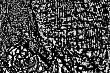 Soyut grunge arkaplanı. Monokrom dokusu. Resim siyah ve beyaz tonları içerir.