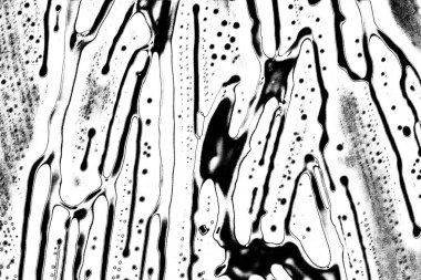 Soyut grunge arkaplanı. Monokrom dokusu. Siyah beyaz arkaplan