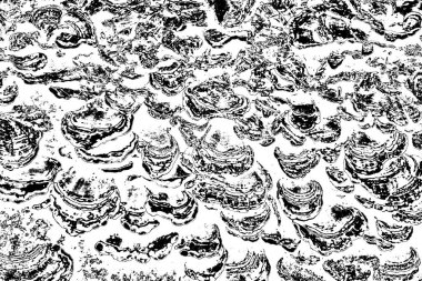 Monokrom dokusu. Siyah beyaz arka plan. Soyut grunge arkaplanı.