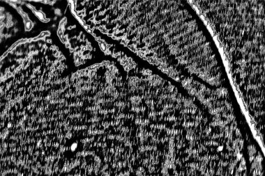 Soyut grunge arkaplanı. Monokrom dokusu. Resim siyah ve beyaz tonları içerir.