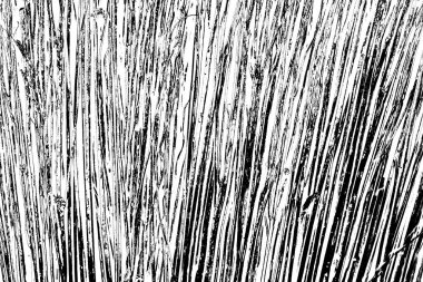 Soyut grunge arkaplanı. Monokrom dokusu. Siyah beyaz arkaplan