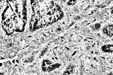 Monokrom dokusu. Siyah beyaz arka plan. Soyut grunge arkaplanı.