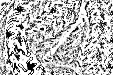 Soyut grunge arkaplanı. Monokrom dokusu. Siyah beyaz arkaplan