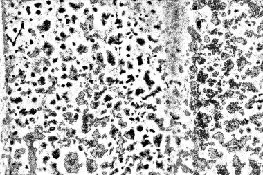 Monokrom dokusu. Siyah beyaz arka plan. Soyut grunge arkaplanı.